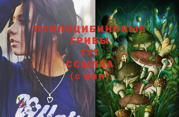мескалин Козельск