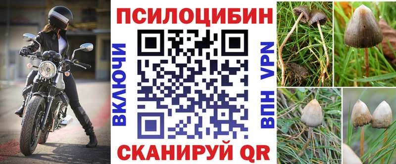 Галлюциногенные грибы мухоморы Белый